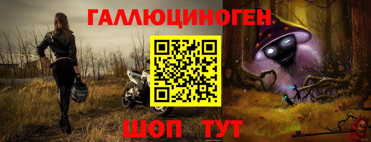 Галлюциногенные грибы Cubensis  Вход с VPN  Ноябрьск 